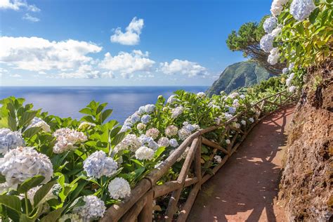 package vacations to the azores